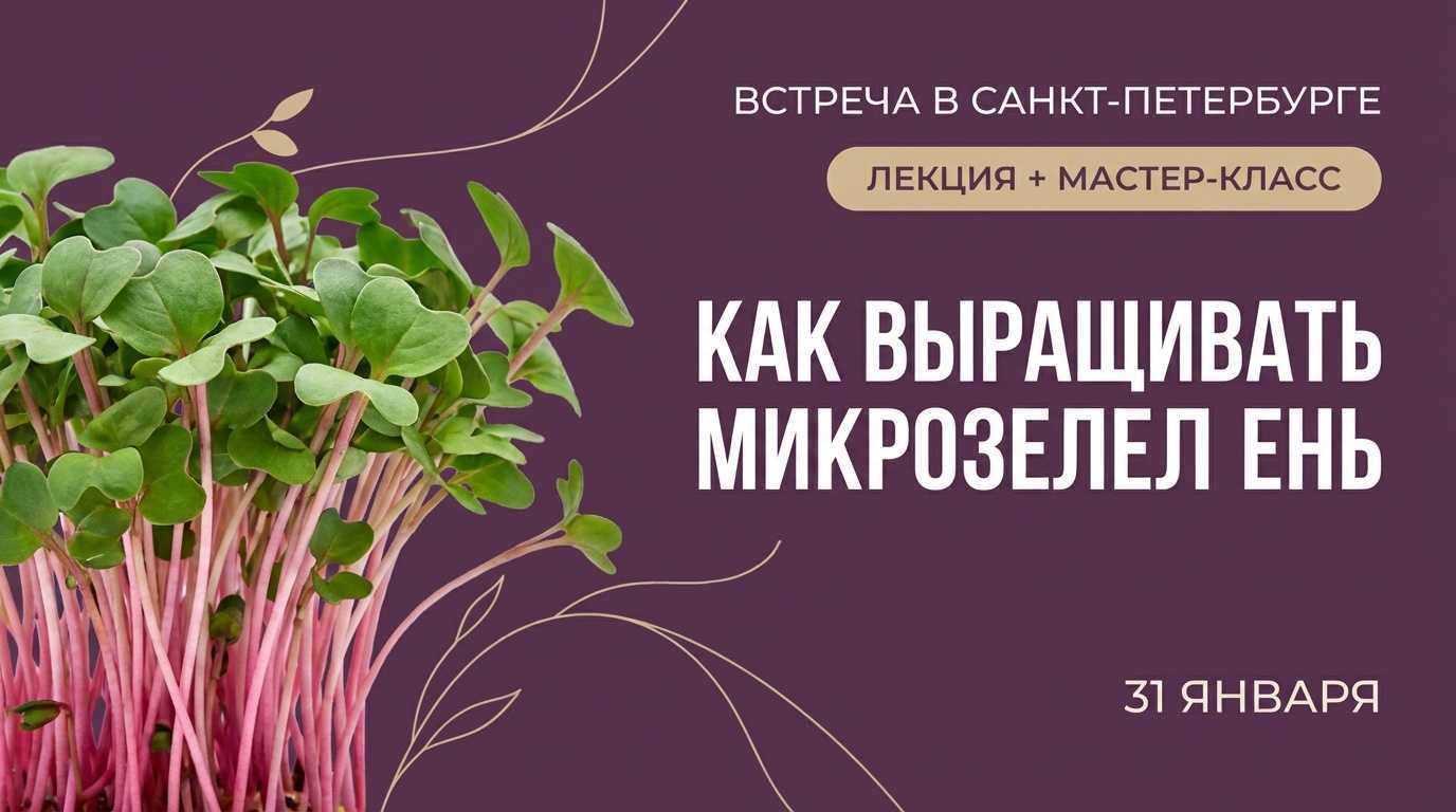 Микроелень без магазина: Мастер-класс на выходной