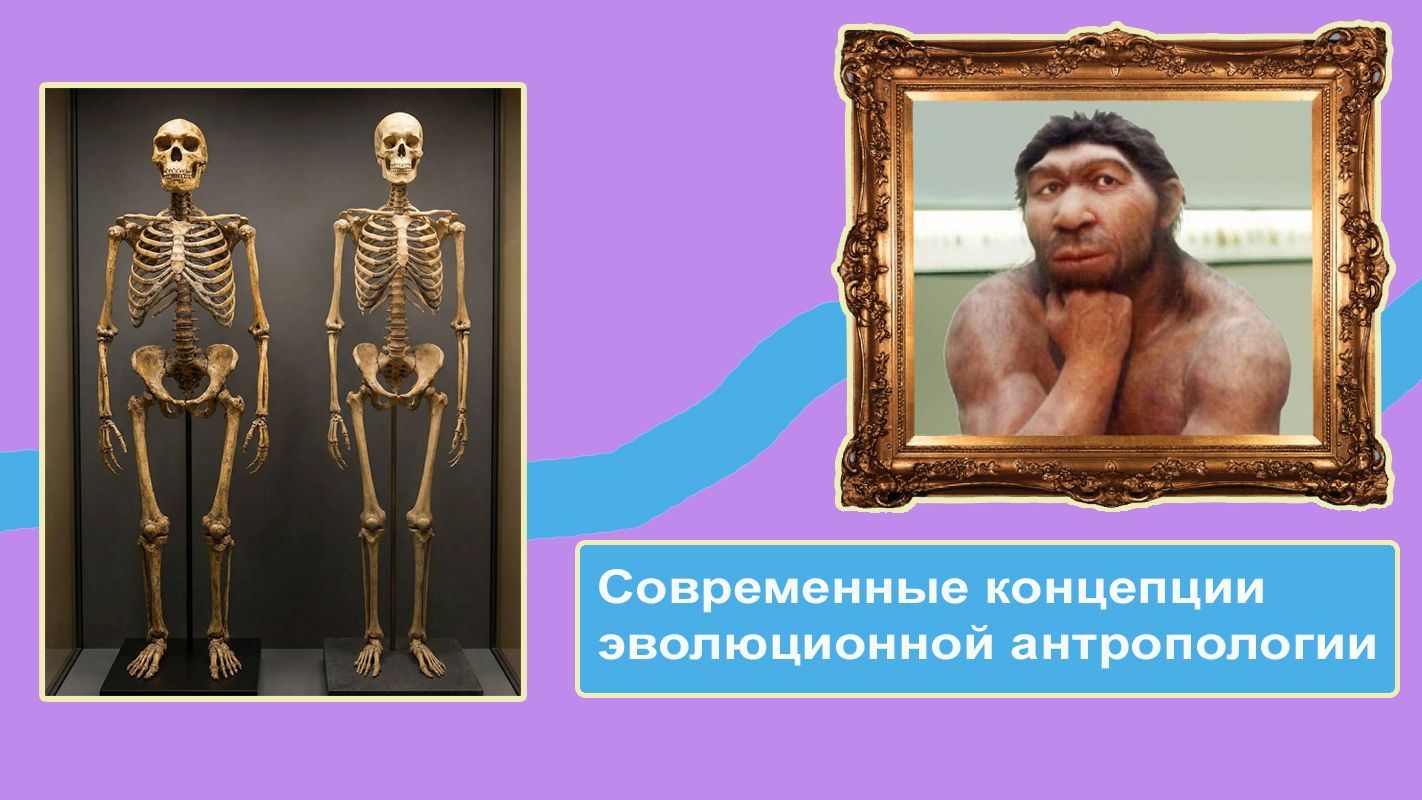 Лекция «Современные концепции эволюционной антропологии»