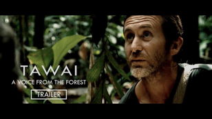 TAWAI: A voice from the forest в ЕУ 24 октября, 18:00