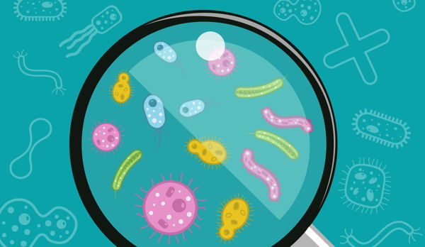 Medtech.Лекторий | Бактерии в организме человека