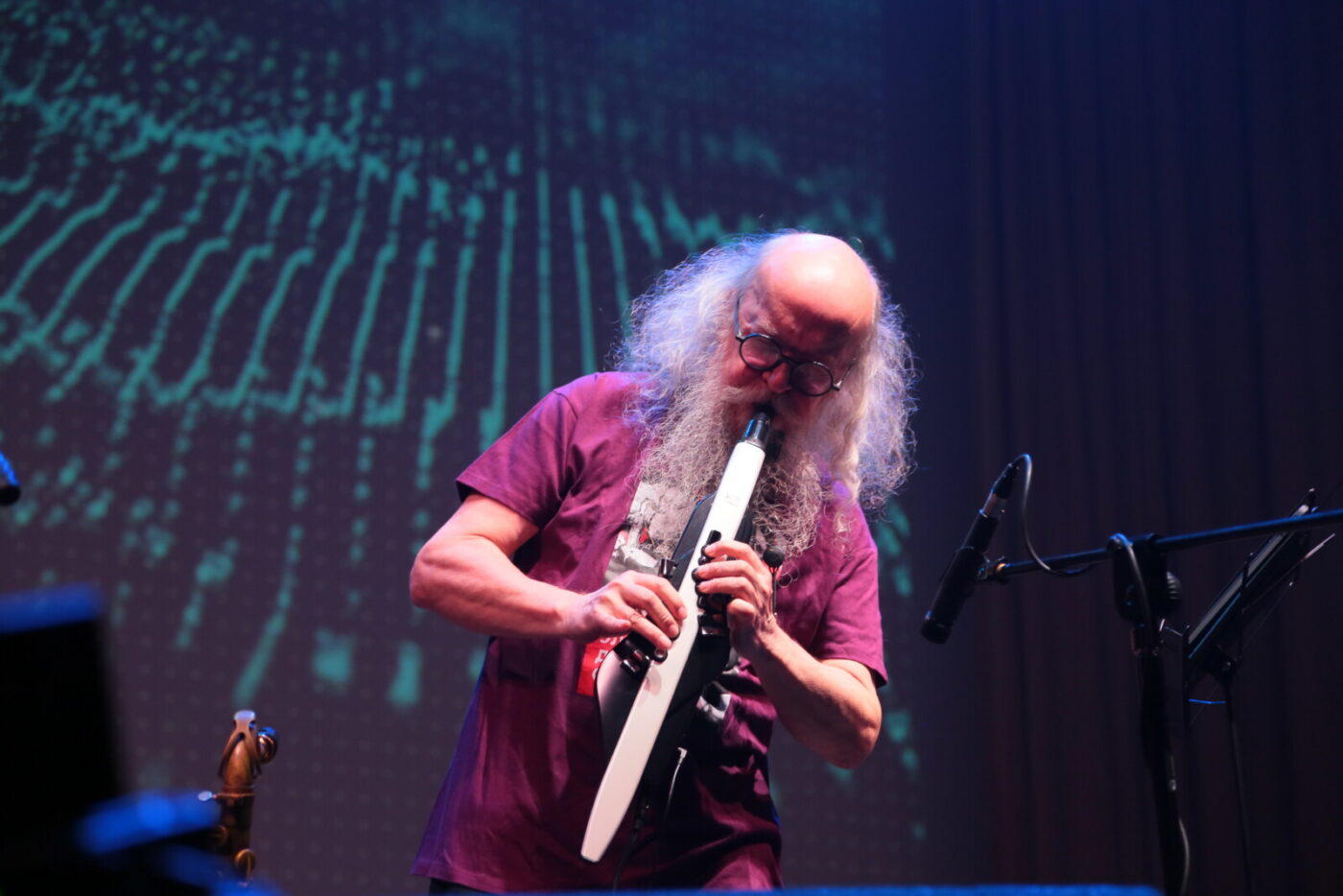 Концерт Сергея Летова в КЦ Веллум. Николина гора