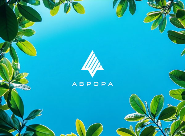 Встреча сообщества ОС Аврора в Перми