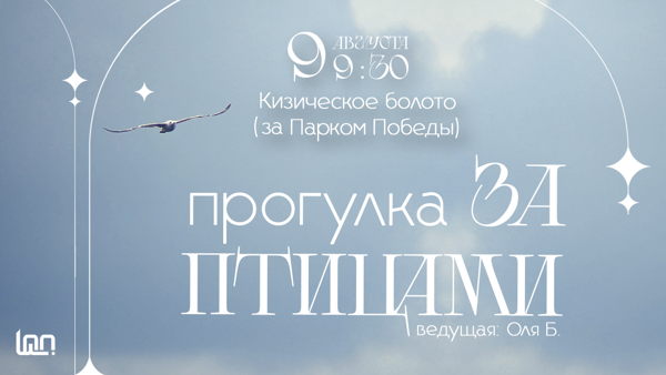 Прогулка За Птицами. 26г