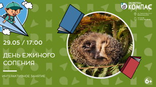 День ежиного сопения