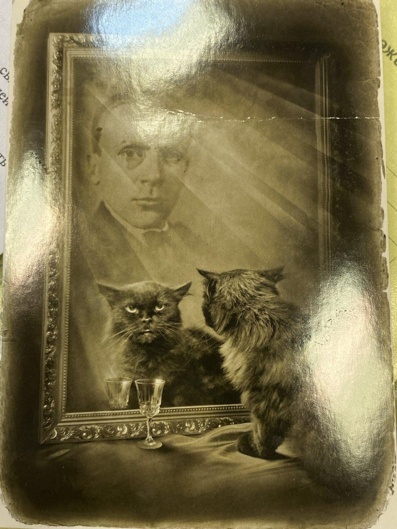 Перевод на французский язык романа «Мастер и Маргарита»