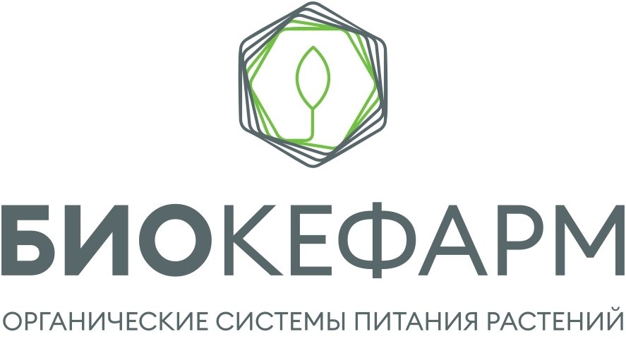 Генеральный партнёр