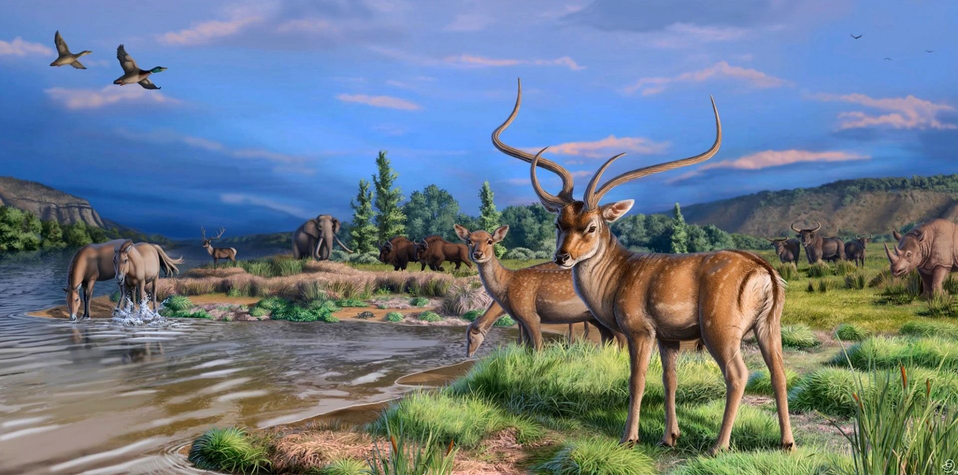 Лекция Ярослава Попова "Парнокопытные: разнообразие травоядных и всеядных"