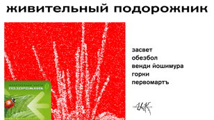 фестиваль живительный подорожник: засвет, обезбол, венди йошимура, горки, первомартъ 