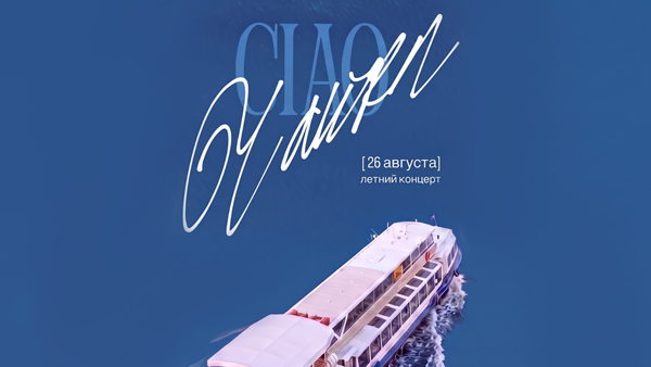 CIAO, чайки