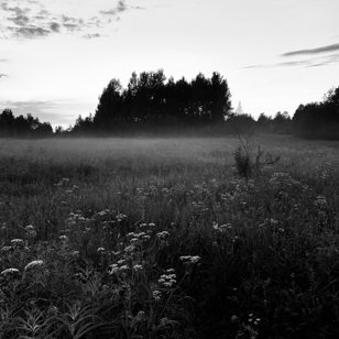 Кураторская экскурсия по выставке «Natura» 