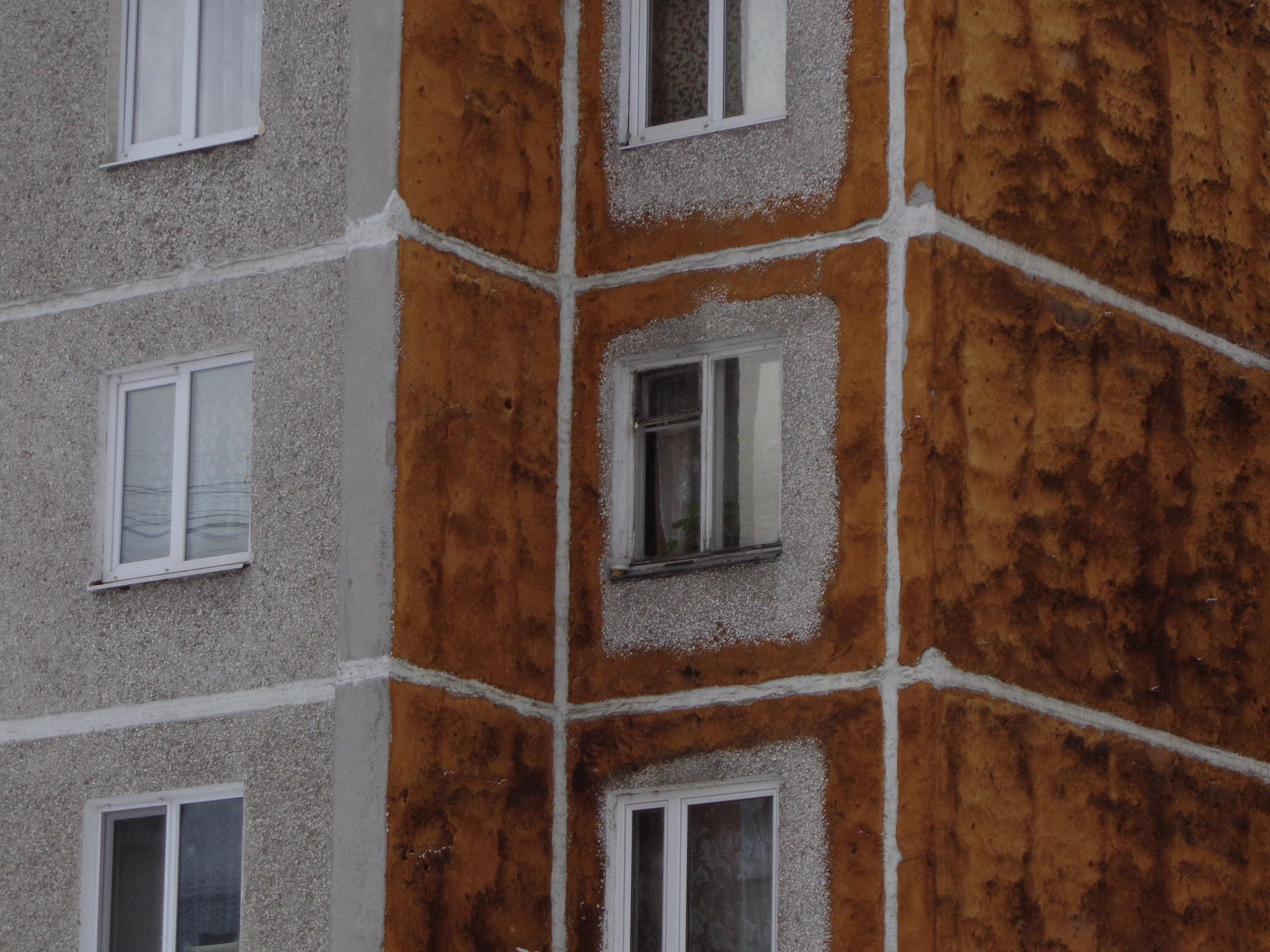 Такие разные. Кто у меня дома?