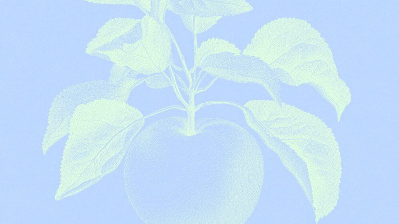 книжный клуб + обсуждение с авторкой | «одиночества нет, ждите» кати крыловой