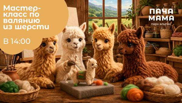 Мастер-класс по валянию из шерсти альпак