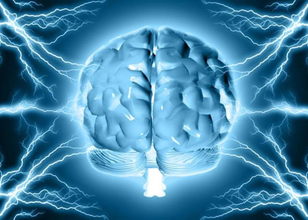 SPEAKING CLUB: The Power of Electricity in Our Body (C1 и выше)