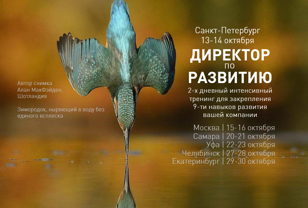 Тренинг "Директор по развитию" (Санкт-Петербург, 13-14 октября)