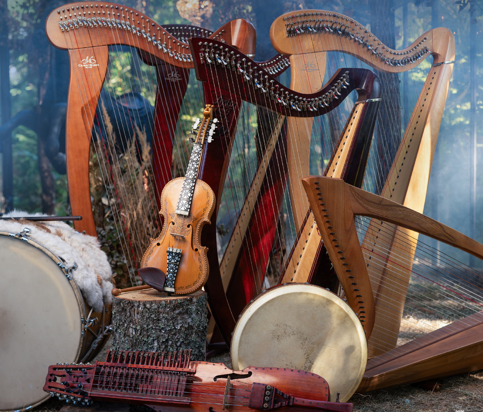 Moscow Harp Orchestra: музыка кино