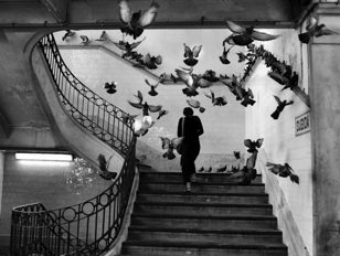 Фотография как искусство. Встреча с Яном Саркисяном