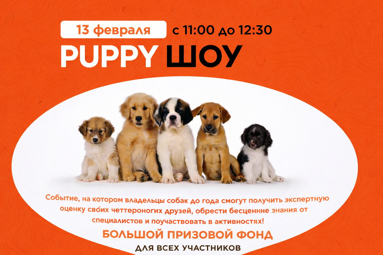 Puppy шоу�