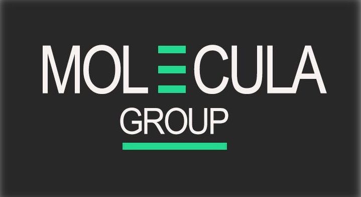 MOLECULA Group - коммуникационная бизнес группа 