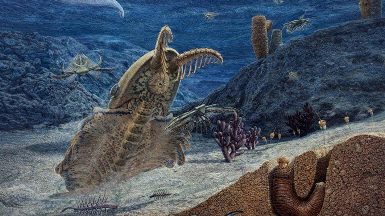 Раньше было лучше