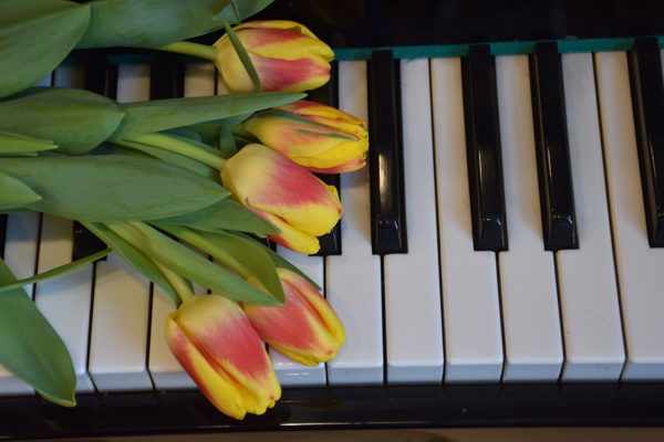 Концерт "Музыка-детям"