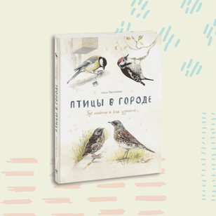 «Птицы в городе». Мастер-класс для детей от 5 лет от издательства «МИФ»
