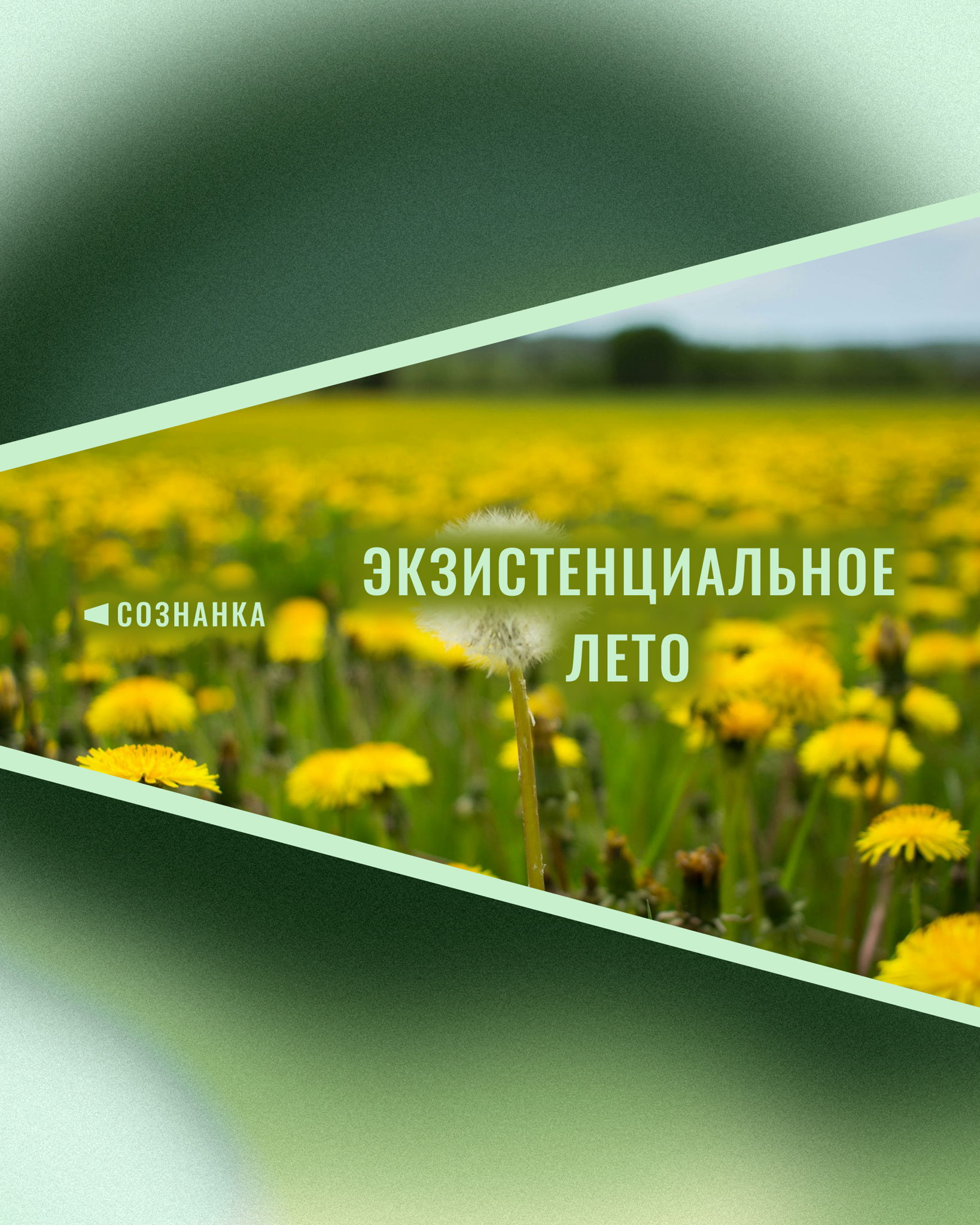 ЛЕТНИЙ ПСИХОЛОГИЧЕСКИЙ ИНТЕНСИВ
