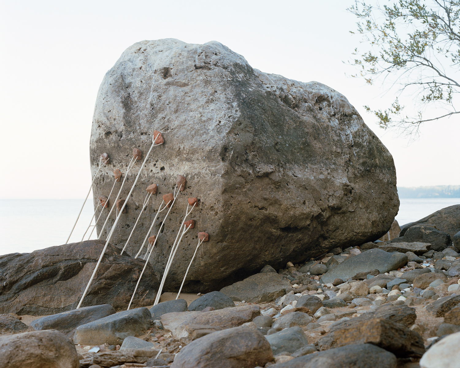 Artist talk Федора Тощева в диалоге с историком фотографии Дарьей Панайотти