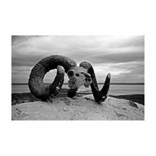 "Каково быть теоретиком и практиком фотографии?", Artist-talk Андрея Фоменко 