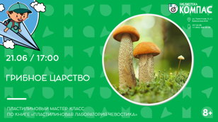 Грибное царство (8+)