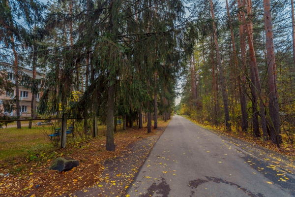 Комарово. Программа восстановления в Доме отдыха и творчества