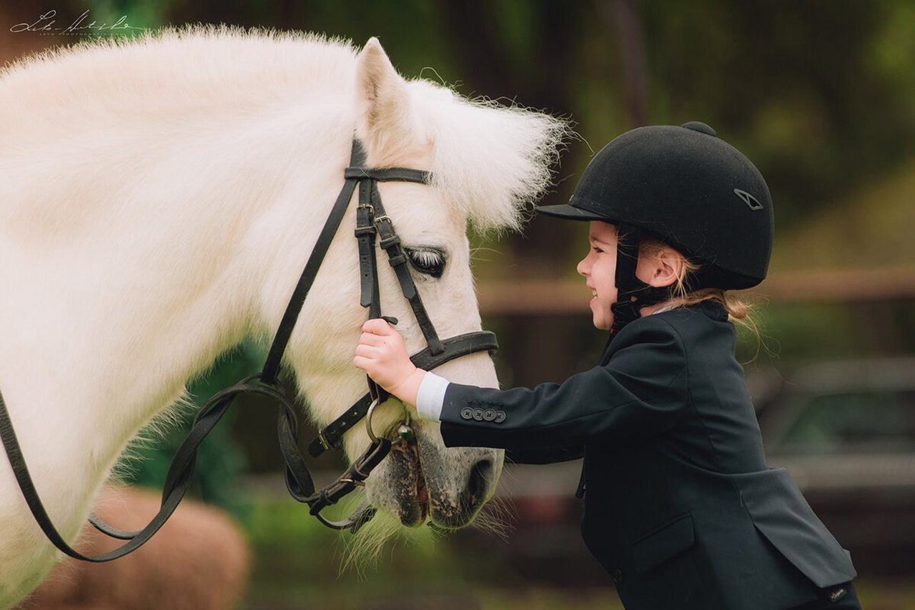 Лекция "Сила четвероногого партнера: как общение с лошадьми меняет человека к лучшему в любом возрасте"