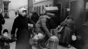 Встреча "Портниха из блокадного Ленинграда" 