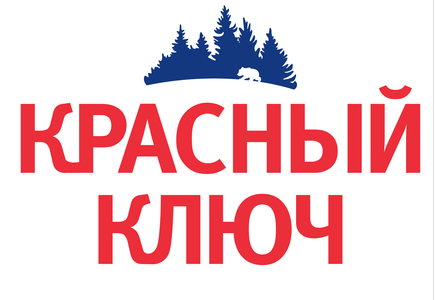 ГЕНЕРАЛЬНЫЙ ПАРТНЁР Красный ключ