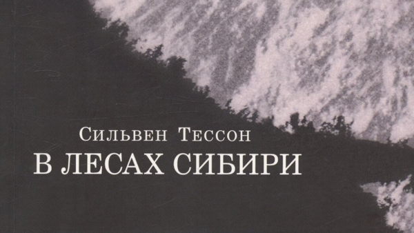 Диалектика мха на камне