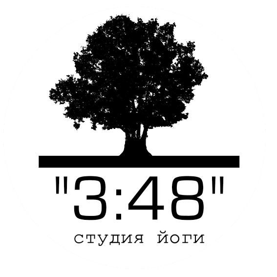 "3 часа 48 минут"