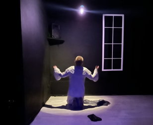  «Человеческий голос»         