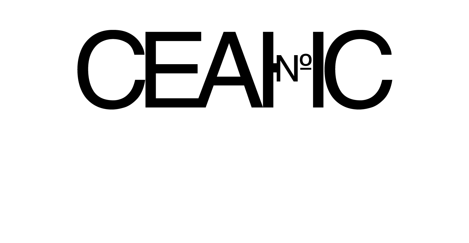 Организатор