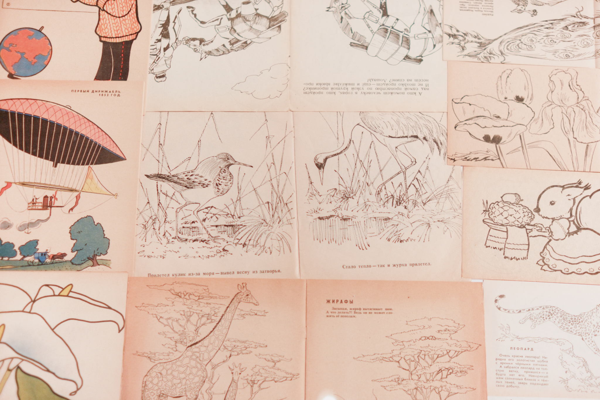 Дискуссия с художницей