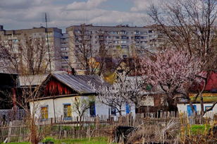 Мысль в пространстве. Уроки антропогенной среды. Город vs деревня