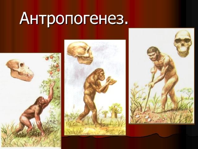 Встреча: "Философский клуб. Антропогенез: философский аспект происхождения человека"