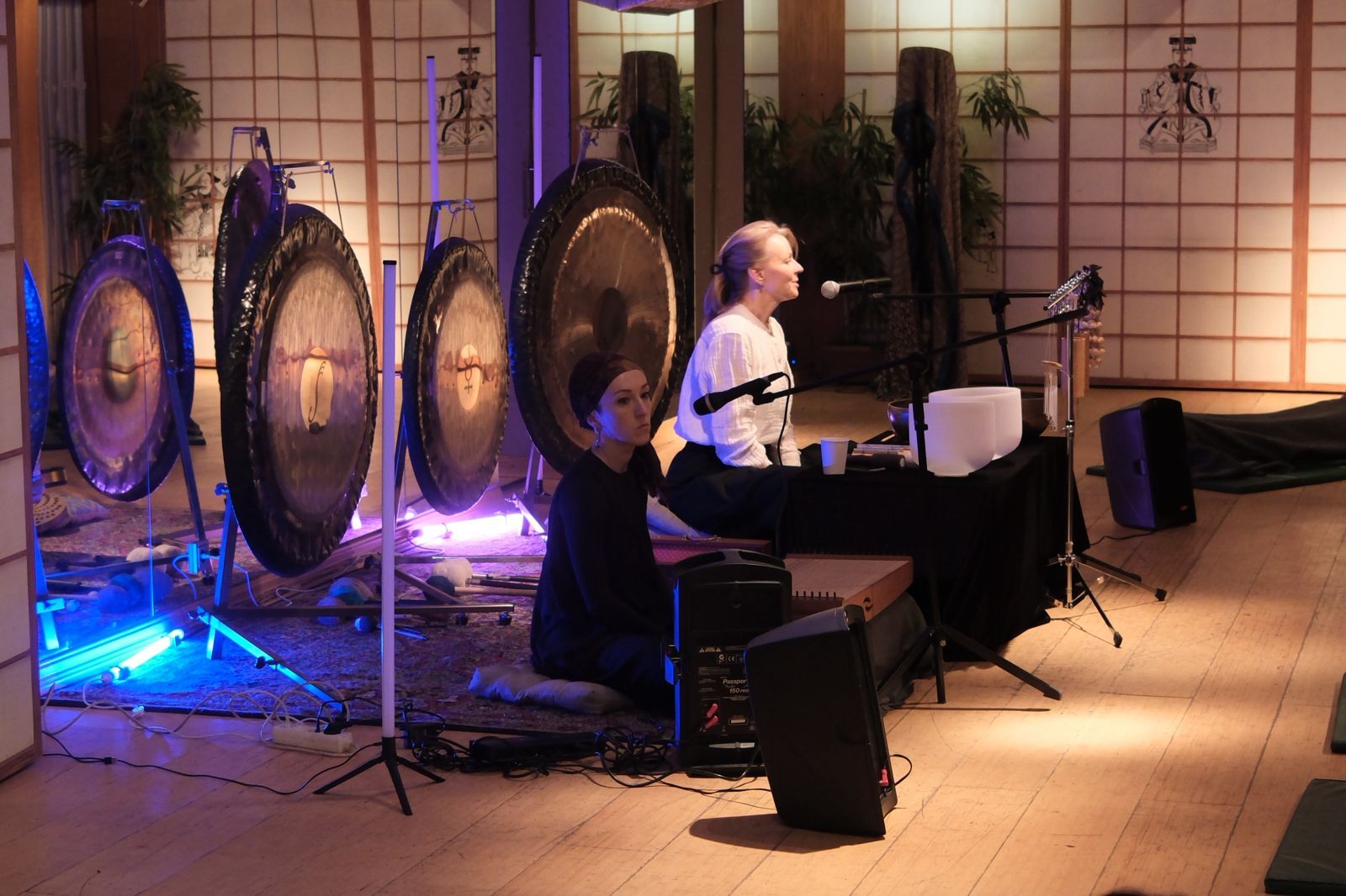 9.03 ГОНГ и ГОЛОС. Путешествие к Источнику