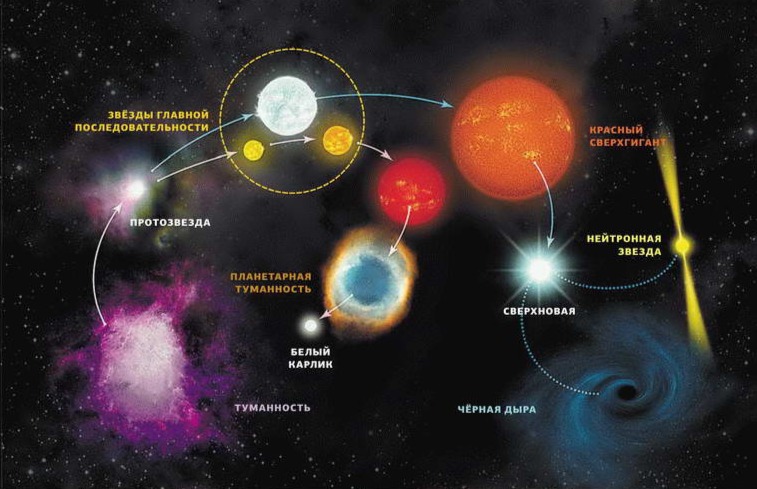 Схема эволюции звезд от протозвезды до черной дыры