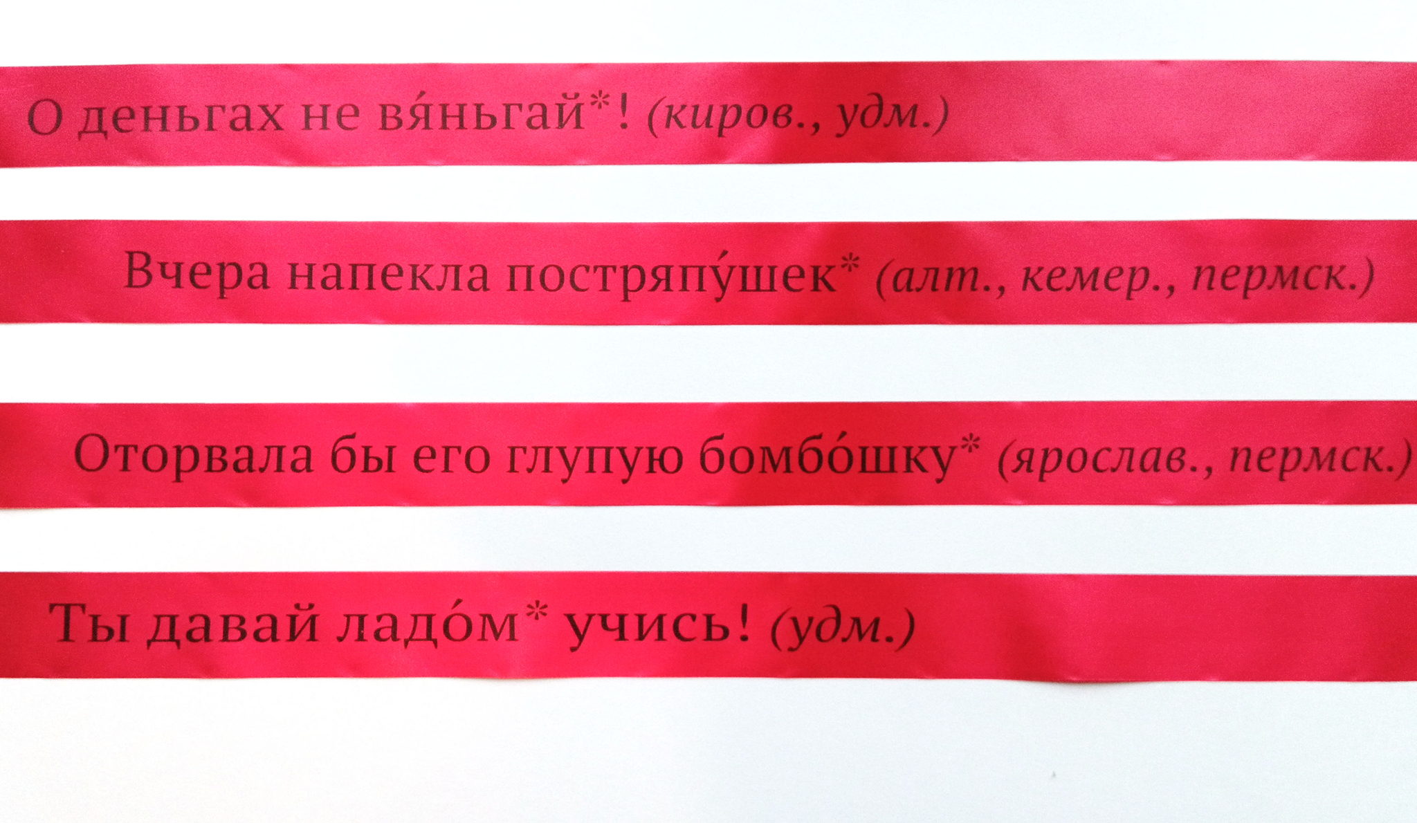 Презентация зина Марины Алаевой «Айда вяньгать»