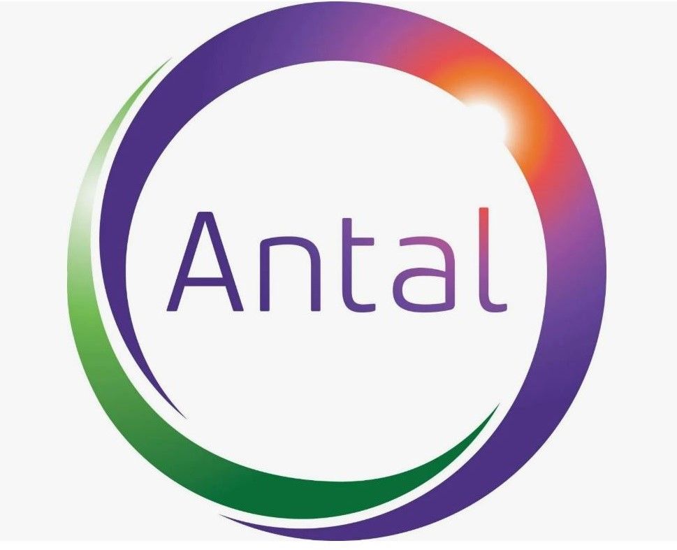 Информационный партнер – Antal
