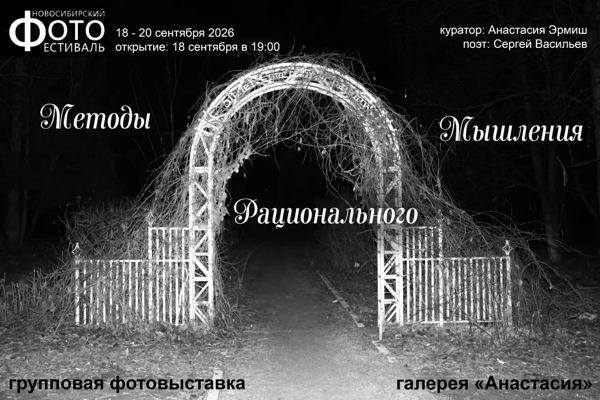 Открытие групповой выставки «Методы рационального мышления». Куратор Анастасия Эрмиш