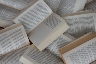 Презентация новой книги Алексея Пурина «Утраченные аллюзии»