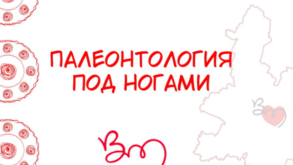 Палеонтология под ногами