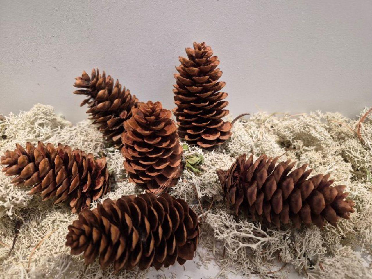 Мастер-класс "Рождественские друзья"