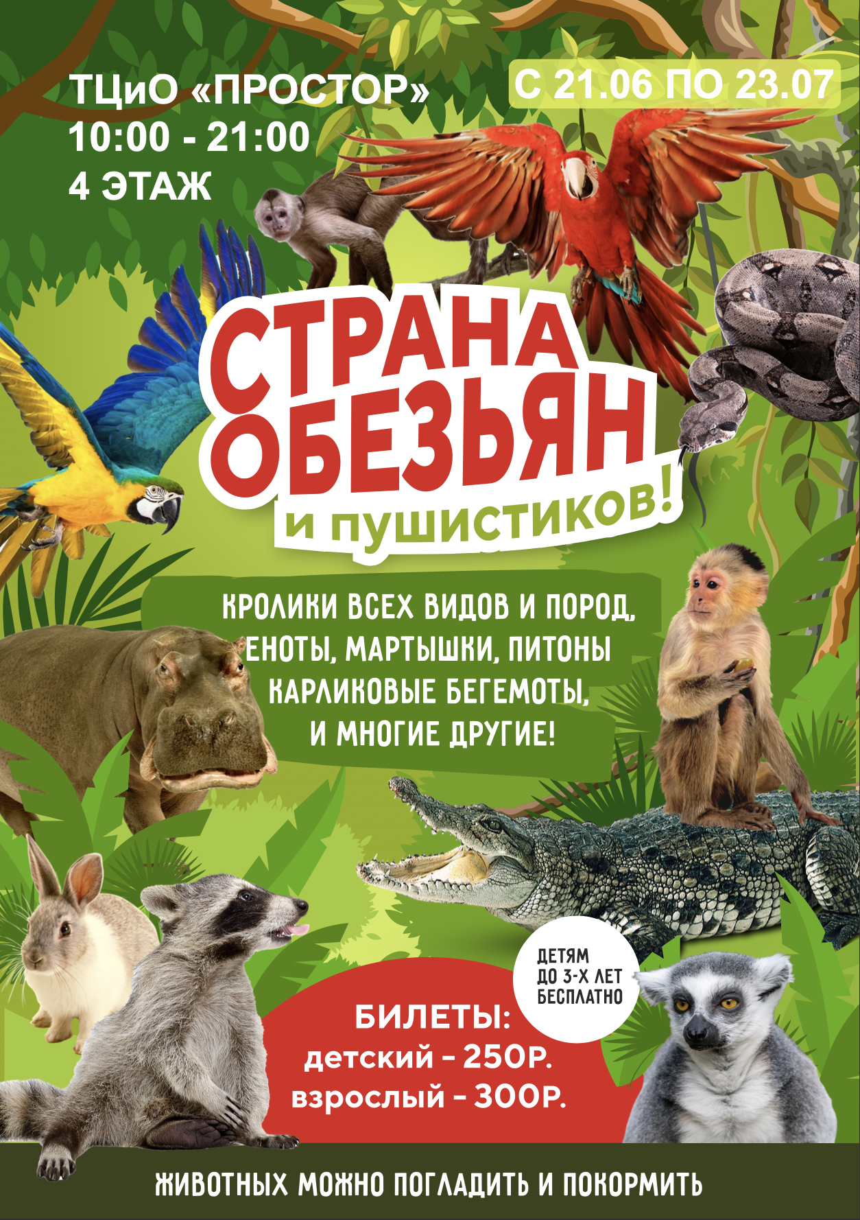 Страна обезьян и пушистиков. Страна обезьян и пушистиков пермь. Выставка обезьян и пушистиков. Сити молл зоопарк стерлитамак. Страна обезьян и пушистиков пермь.